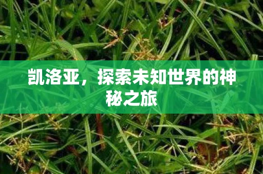 凯洛亚,探索未知世界的神秘之旅 凯洛亚,探索未知世界的神秘之旅