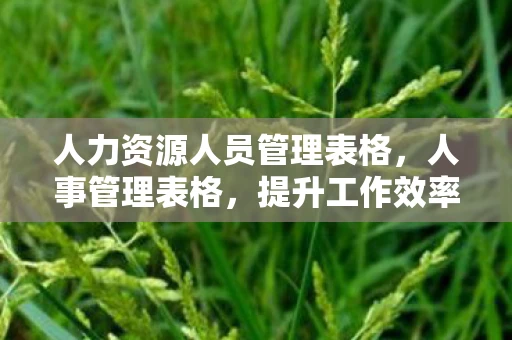 人力资源人员管理表格,人事管理表格,提升工作效率的关键工具 人力资源人员管理表格,人事管理表格,提升工作效率的关键工具