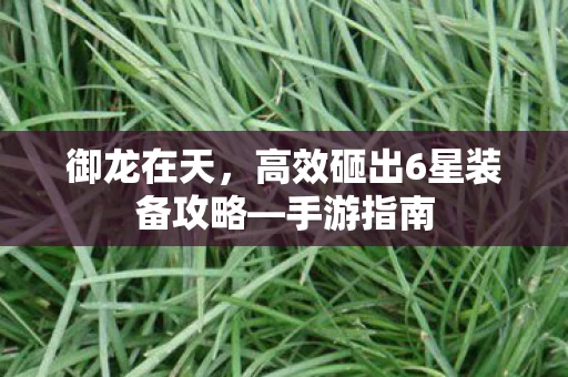 高效砸出6星装备攻略图片