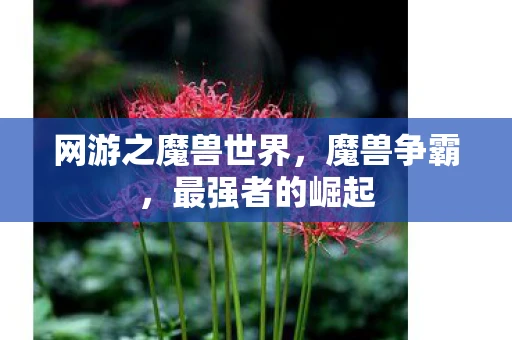 网游之魔兽世界，魔兽争霸，最强者的崛起