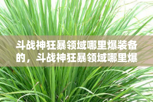 斗战神狂暴领域哪里爆装备的，斗战神狂暴领域哪里爆？揭秘游戏内最佳掉落点