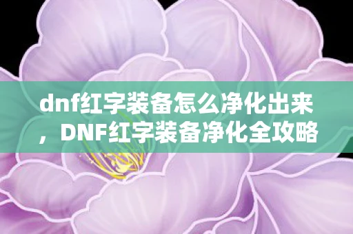 dnf红字装备怎么净化出来，DNF红字装备净化全攻略，从零开始打造强力角色