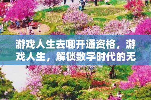 游戏人生去哪开通资格，游戏人生，解锁数字时代的无限可能