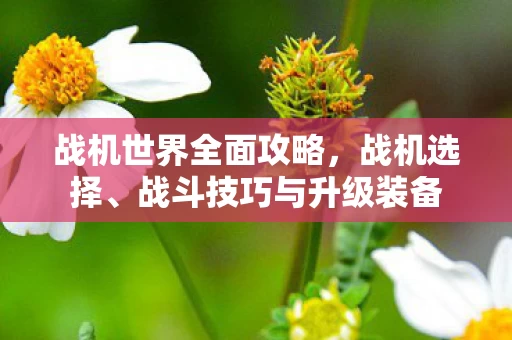 战斗技巧与升级装备图片