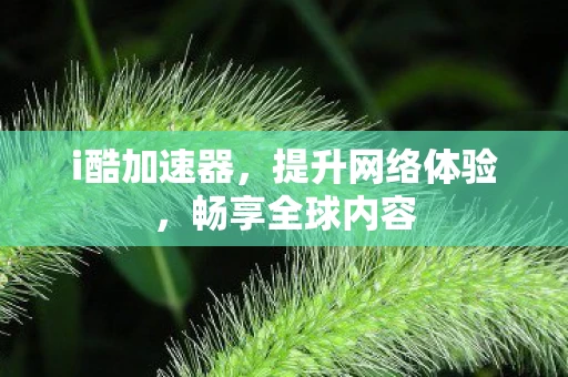 i酷加速器，提升网络体验，畅享全球内容