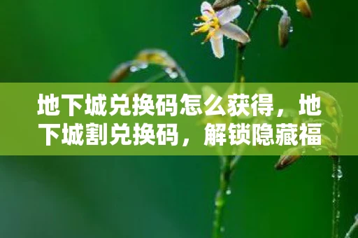 地下城兑换码怎么获得，地下城割兑换码，解锁隐藏福利的秘籍