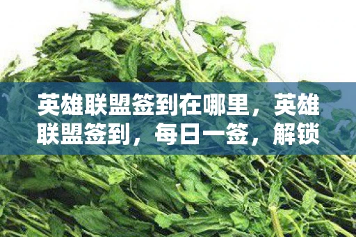 英雄联盟签到在哪里,英雄联盟签到,每日一签,解锁无限可能 英雄联盟签到在哪里,英雄联盟签到,每日一签,解锁无限可能