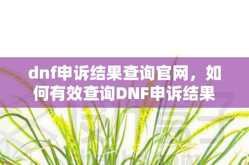 dnf申诉结果查询官网，如何有效查询DNF申诉结果
