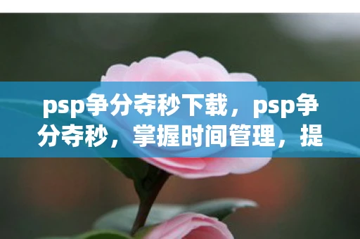 psp争分夺秒下载，psp争分夺秒，掌握时间管理，提升工作效率
