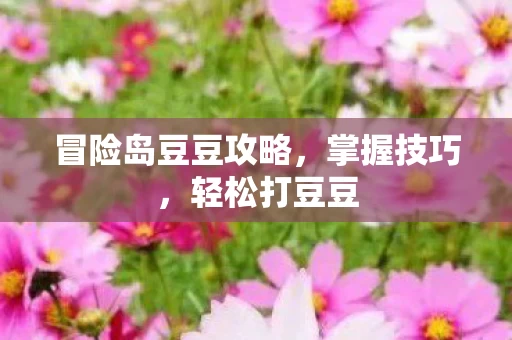 冒险岛豆豆攻略图片