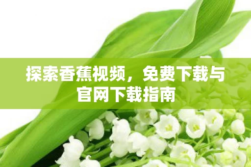 免费下载与官网下载指南图片