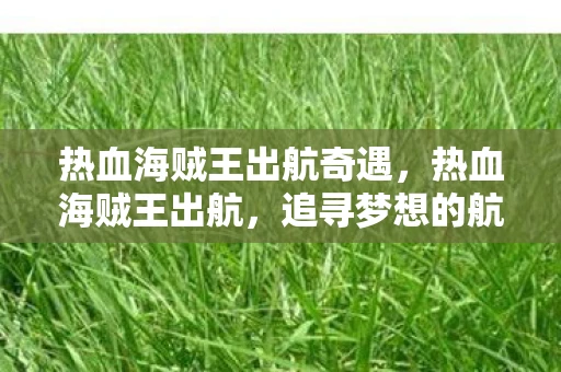 热血海贼王出航奇遇,热血海贼王出航,追寻梦想的航海之旅 热血海贼王出航奇遇,热血海贼王出航,追寻梦想的航海之旅