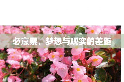 必赢票,梦想与现实的差距 必赢票,梦想与现实的差距