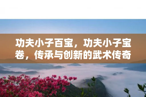 功夫小子百宝，功夫小子宝卷，传承与创新的武术传奇