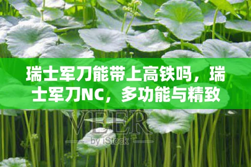 瑞士军刀能带上高铁吗，瑞士军刀NC，多功能与精致工艺的完美结合