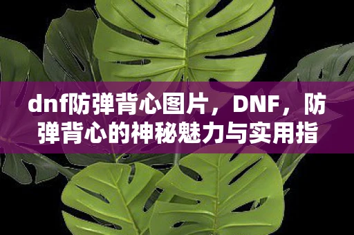 dnf防弹背心图片，DNF，防弹背心的神秘魅力与实用指南