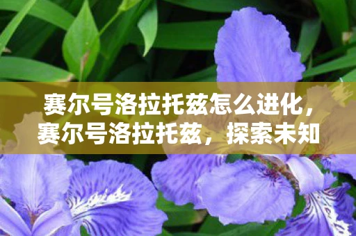 赛尔号洛拉托兹怎么进化，赛尔号洛拉托兹，探索未知世界的神秘之旅