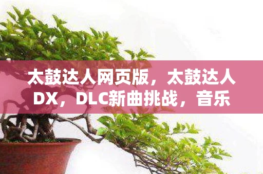 太鼓达人网页版，太鼓达人DX，DLC新曲挑战，音乐与节奏的盛宴