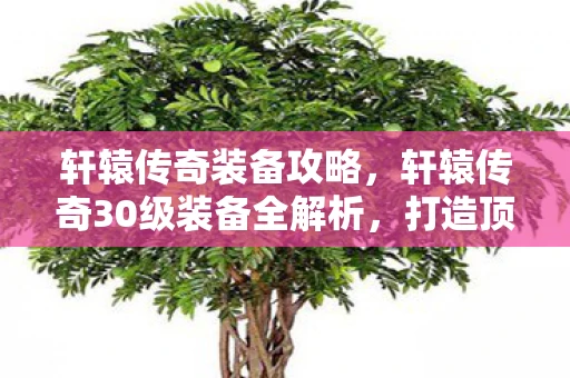 轩辕传奇装备攻略，轩辕传奇30级装备全解析，打造顶级战力，征服古老传说