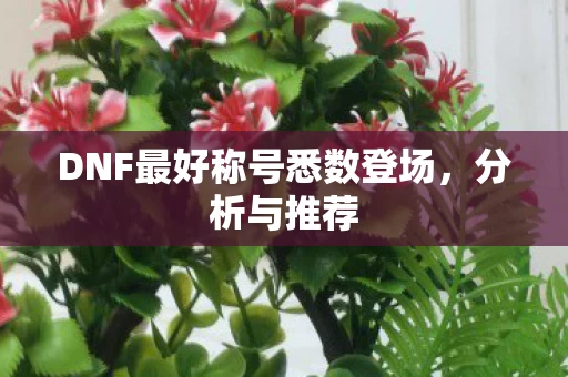 DNF最好称号悉数登场图片