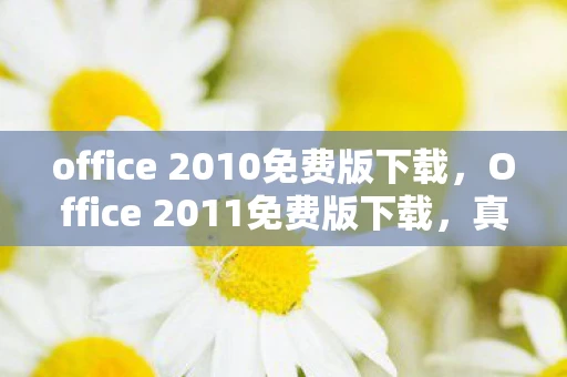 office 2010免费版下载，Office 2011免费版下载，真相与合法获取途径