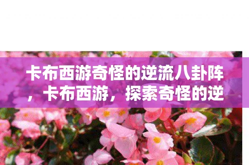 卡布西游奇怪的逆流八卦阵，卡布西游，探索奇怪的逆流