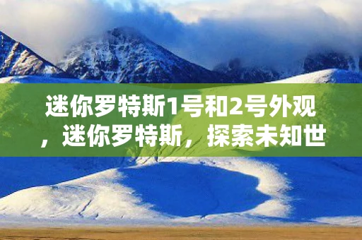 迷你罗特斯1号和2号外观，迷你罗特斯，探索未知世界的奇妙之旅