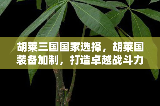 胡莱三国国家选择，胡莱国装备加制，打造卓越战斗力的秘密