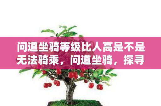 问道坐骑等级比人高是不是无法骑乘，问道坐骑，探寻古老传说中的神秘生物