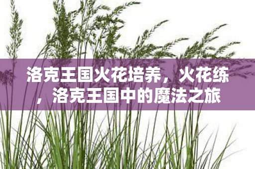洛克王国火花培养，火花练，洛克王国中的魔法之旅