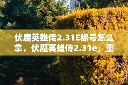 伏魔英雄传2.31E称号怎么拿,伏魔英雄传2.31e,重塑经典,再续传奇 伏魔英雄传2.31E称号怎么拿,伏魔英雄传2.31e,重塑经典,再续传奇