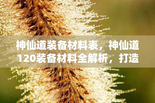 神仙道装备材料表，神仙道120装备材料全解析，打造顶级装备，提升战力不是梦！