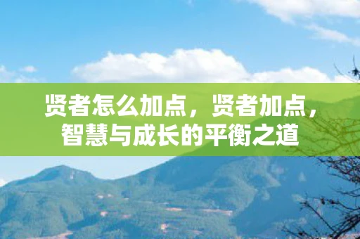 贤者怎么加点，贤者加点，智慧与成长的平衡之道