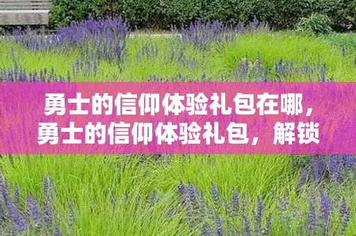 勇士的信仰体验礼包在哪，勇士的信仰体验礼包，解锁你的冒险之旅