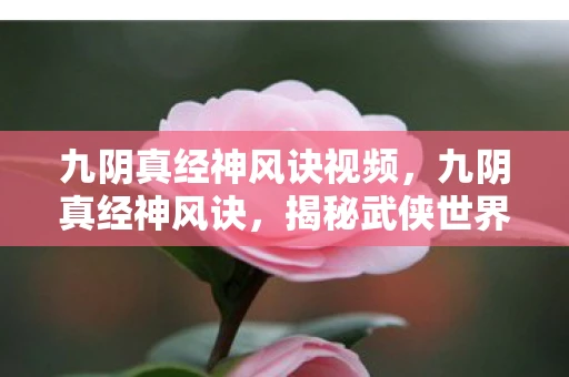 九阴真经神风诀视频,九阴真经神风诀,揭秘武侠世界的神秘功法 九阴真经神风诀视频,九阴真经神风诀,揭秘武侠世界的神秘功法