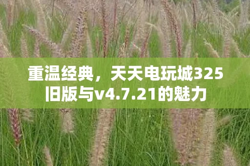 天天电玩城325旧版与v4图片