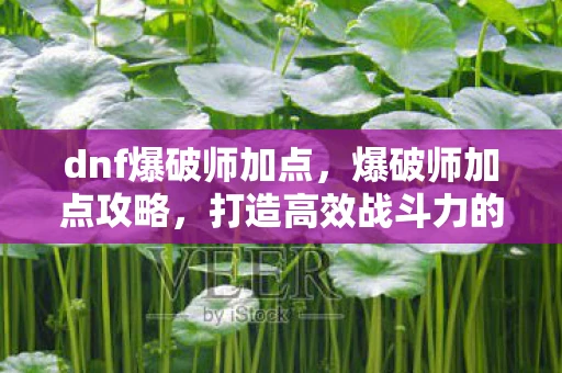 dnf爆破师加点,爆破师加点攻略,打造高效战斗力的关键 dnf爆破师加点,爆破师加点攻略,打造高效战斗力的关键