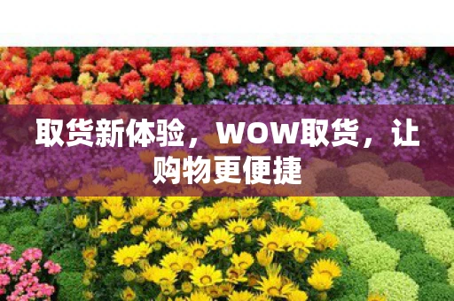取货新体验，WOW取货，让购物更便捷
