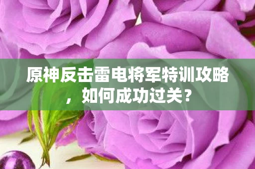 原神反击雷电将军特训攻略图片