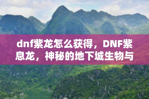 dnf紫龙怎么获得，DNF紫息龙，神秘的地下城生物与游戏文化