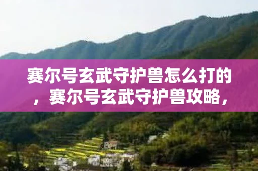 赛尔号玄武守护兽怎么打的，赛尔号玄武守护兽攻略，轻松击败玄武守护兽