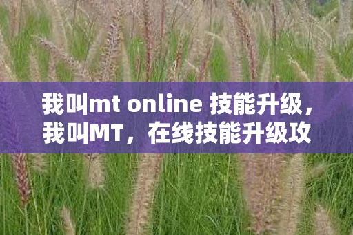 我叫mt online 技能升级,我叫MT,在线技能升级攻略 我叫mt online 技能升级,我叫MT,在线技能升级攻略