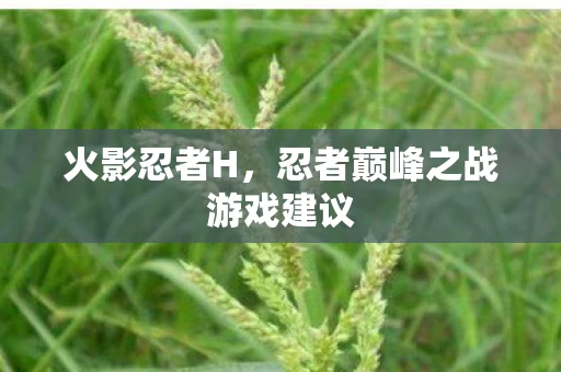 忍者巅峰之战游戏建议图片