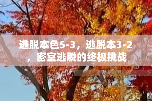 逃脱本色5-3,逃脱本3-2,密室逃脱的终极挑战 逃脱本色5-3,逃脱本3-2,密室逃脱的终极挑战
