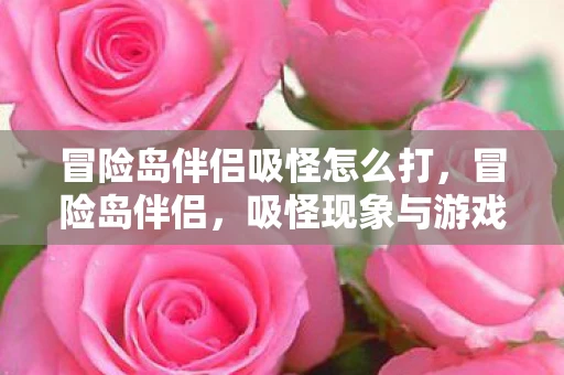 冒险岛伴侣吸怪怎么打，冒险岛伴侣，吸怪现象与游戏平衡的挑战