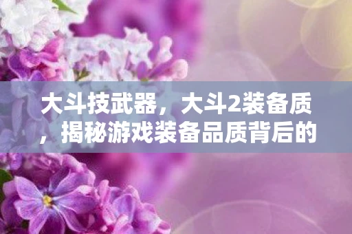 大斗技武器，大斗2装备质，揭秘游戏装备品质背后的秘密