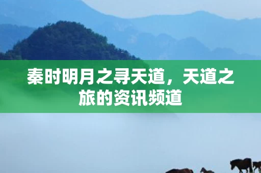 天道之旅的资讯频道图片