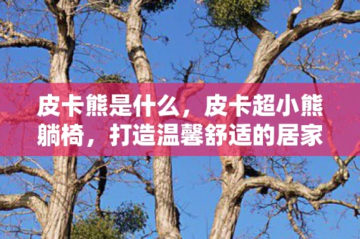 皮卡熊是什么，皮卡超小熊躺椅，打造温馨舒适的居家生活