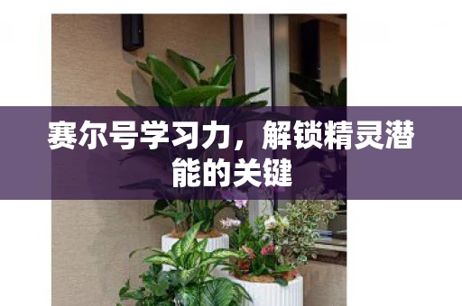 赛尔号学习力，解锁精灵潜能的关键