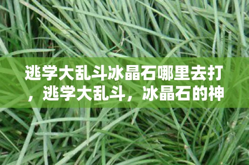 逃学大乱斗冰晶石哪里去打,逃学大乱斗,冰晶石的神秘力量 逃学大乱斗冰晶石哪里去打,逃学大乱斗,冰晶石的神秘力量